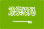 arabic accounting software