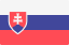 slovak accounting software